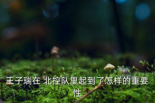 王子瑞在 北控隊里起到了怎樣的重要性