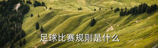 足球每隊(duì)替補(bǔ)席的人數(shù),足球主客隊(duì)替補(bǔ)席