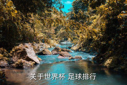 關(guān)于世界杯 足球排行