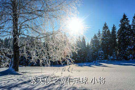 求天使之翼( 足球 小將