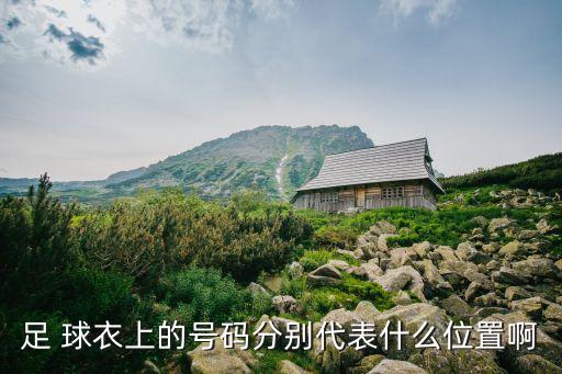 足 球衣上的號碼分別代表什么位置啊