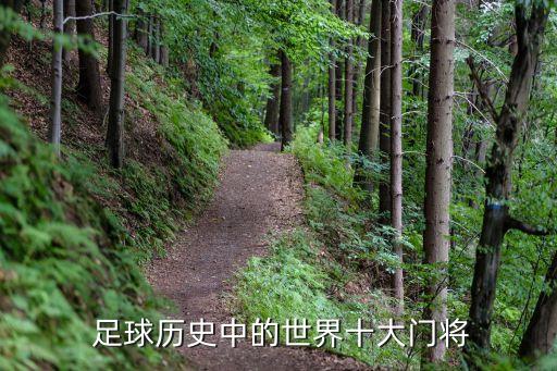  足球歷史中的世界十大門將