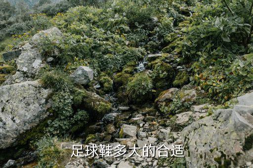 足球鞋多大的合適