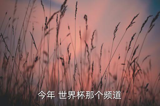 今年 世界杯那個頻道