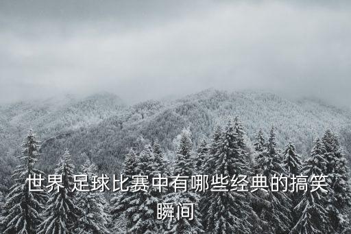  世界 足球比賽中有哪些經(jīng)典的搞笑瞬間