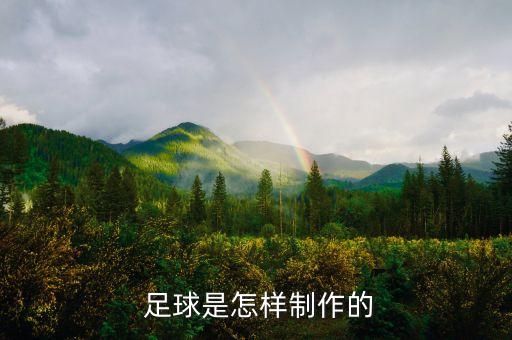 如何用廢棄品做足球.,廢棄足球做手工