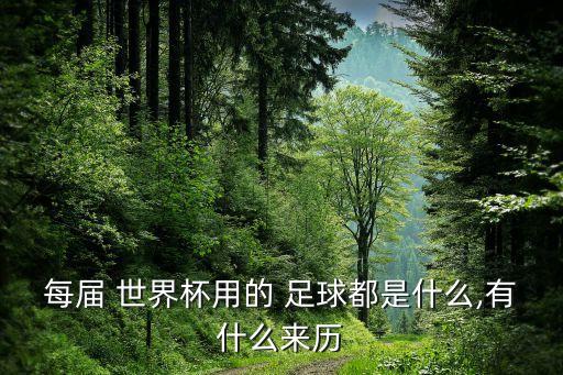 2010年南非世界杯足球叫什么