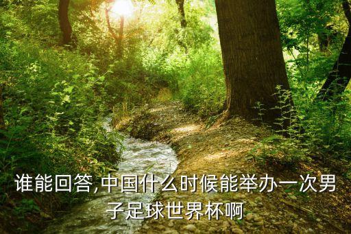 誰能回答,中國什么時候能舉辦一次男子足球世界杯啊