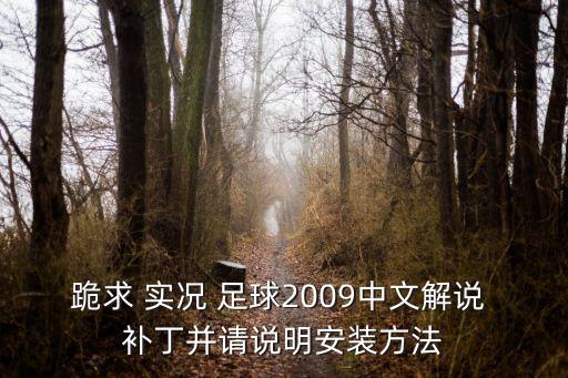 跪求 實(shí)況 足球2009中文解說(shuō) 補(bǔ)丁并請(qǐng)說(shuō)明安裝方法