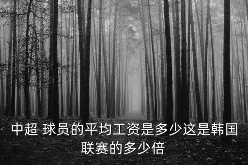 中超 球員的平均工資是多少這是韓國(guó)聯(lián)賽的多少倍