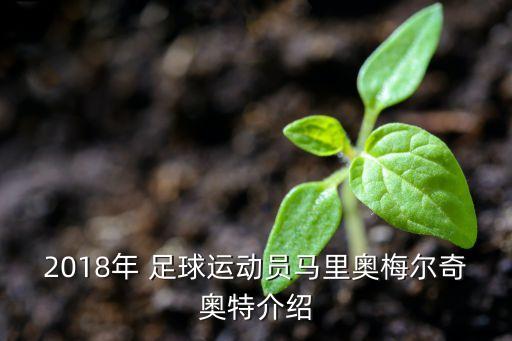 2018年 足球運(yùn)動(dòng)員馬里奧梅爾奇奧特介紹