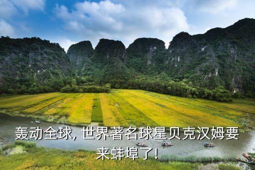 轟動(dòng)全球, 世界著名球星貝克漢姆要來(lái)蚌埠了!