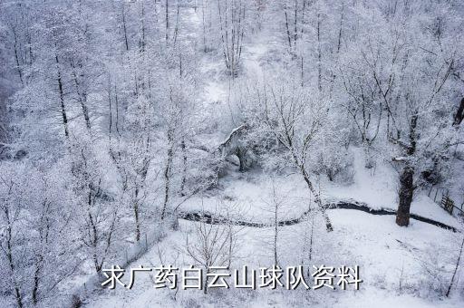 求廣藥白云山球隊(duì)資料