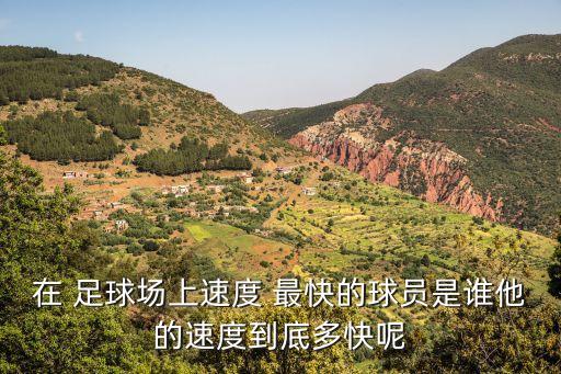 在 足球場上速度 最快的球員是誰他的速度到底多快呢