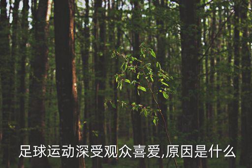 西班牙人喜歡足球,主角是西班牙人的足球小說(shuō)