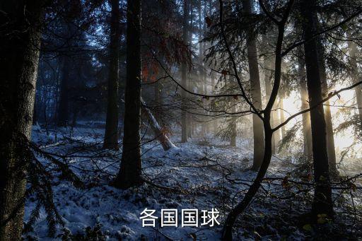 日本與巴拿馬足球,巴拿馬足球世界杯成績