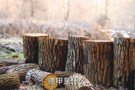 德甲是什么