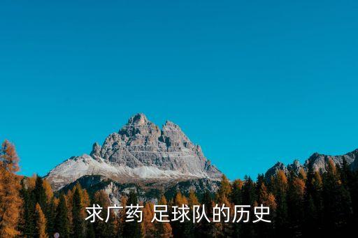 求廣藥 足球隊(duì)的歷史