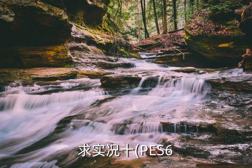 求實況十(PES6