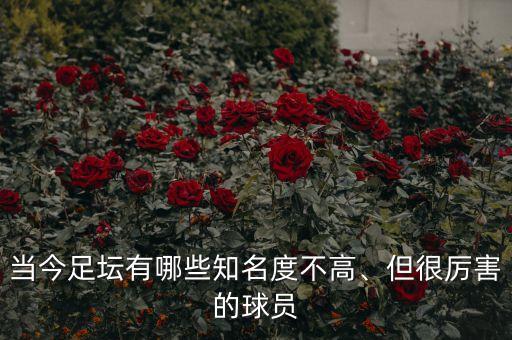 雷勇足球