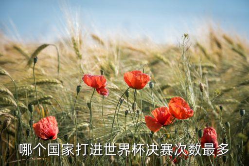 哪個(gè)國(guó)家打進(jìn)世界杯決賽次數(shù)最多