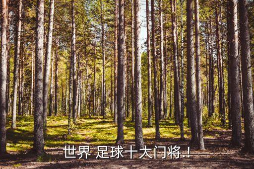 世界 足球十大門將.!