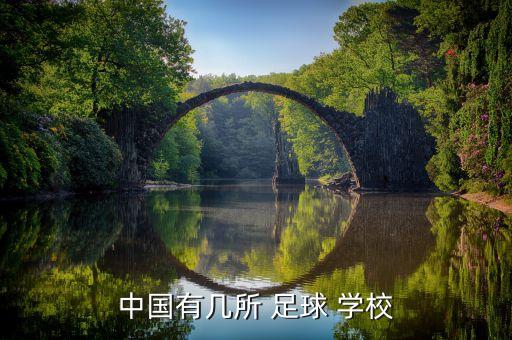 中國(guó)有幾所 足球 學(xué)校