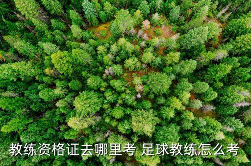 教練資格證去哪里考 足球教練怎么考