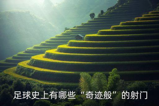  足球史上有哪些“奇跡般”的射門