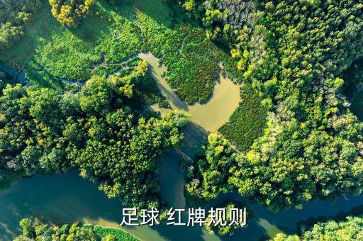  足球 紅牌規(guī)則