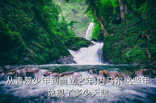 丹麥天才足球,丹麥足球世界杯排名