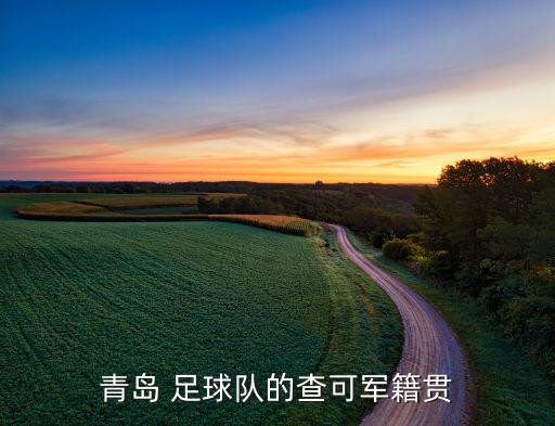 青島 足球隊的查可軍籍貫