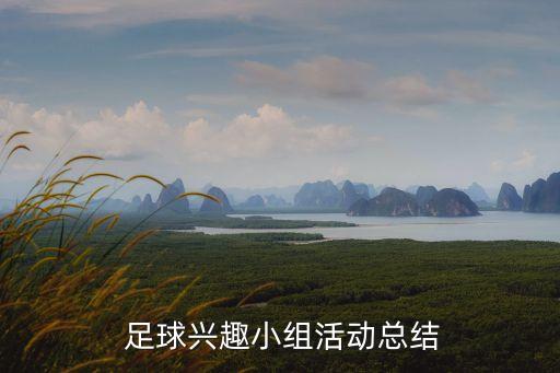  足球興趣小組活動(dòng)總結(jié)
