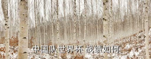中國隊世界杯 戰(zhàn)績?nèi)绾? class=