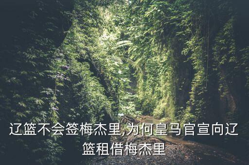 遼籃不會簽梅杰里,為何皇馬官宣向遼籃租借梅杰里