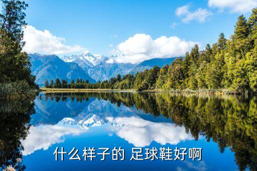 什么樣子的 足球鞋好啊