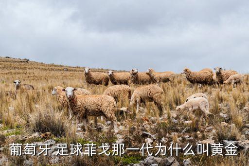 葡萄牙 足球菲戈那一代為什么叫黃金