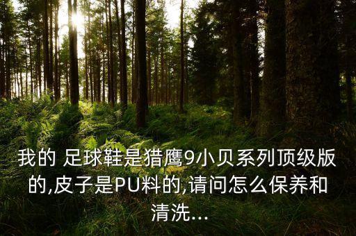 我的 足球鞋是獵鷹9小貝系列頂級(jí)版的,皮子是PU料的,請(qǐng)問(wèn)怎么保養(yǎng)和 清洗...