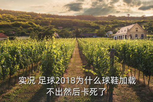 實(shí)況 足球2018為什么球鞋加載不出然后卡死了