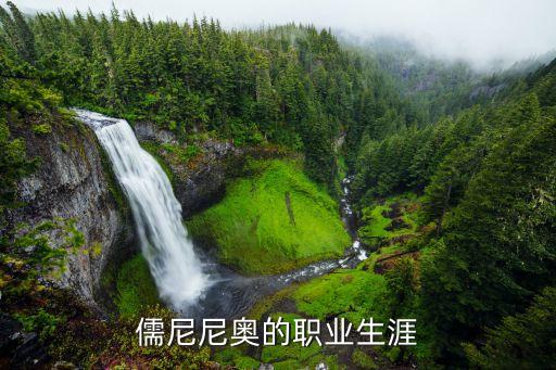 儒尼尼奧的職業(yè)生涯