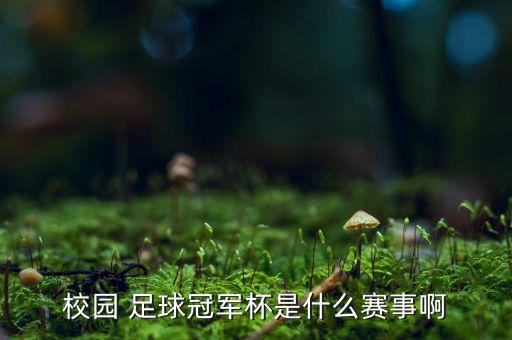 校園 足球冠軍杯是什么賽事啊