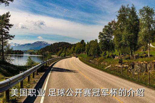美職聯(lián)足球推薦,韓國(guó)職聯(lián)足球排名