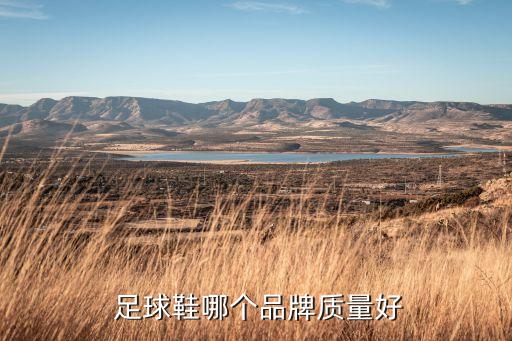 美津濃37碼足球鞋