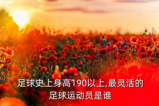  足球史上身高190以上,最靈活的 足球運動員是誰