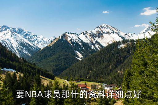 要NBA球員那什的資料詳細點好