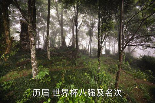 歷屆 世界杯八強(qiáng)及名次