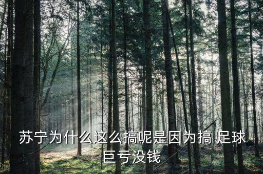  蘇寧為什么這么搞呢是因為搞 足球巨虧沒錢