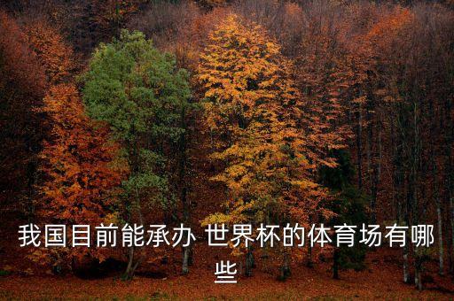 我國目前能承辦 世界杯的體育場有哪些