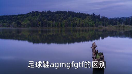  足球鞋agmgfgtf的區(qū)別