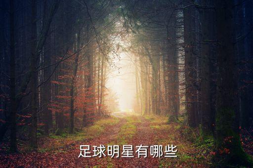  足球明星有哪些